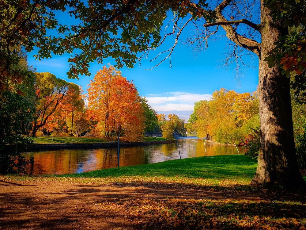 Фотография автора Inna Evseeva