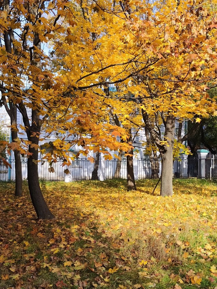Photograph by Наталья Яковлева