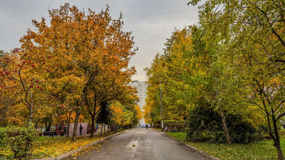 Photograph by Ekaterina Slepneva