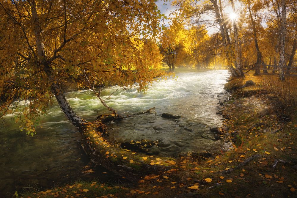 Photograph by Dmitry Medyancev