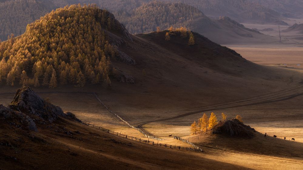 Photograph by Dmitry Medyancev