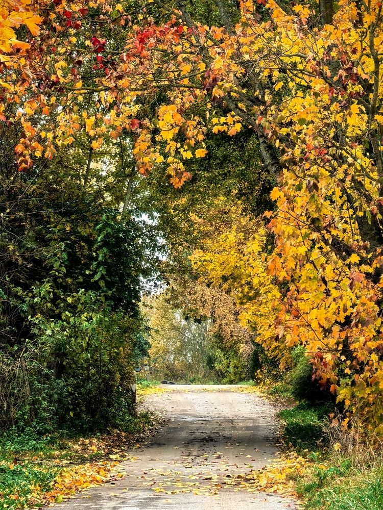 Photograph by Александр Максимов