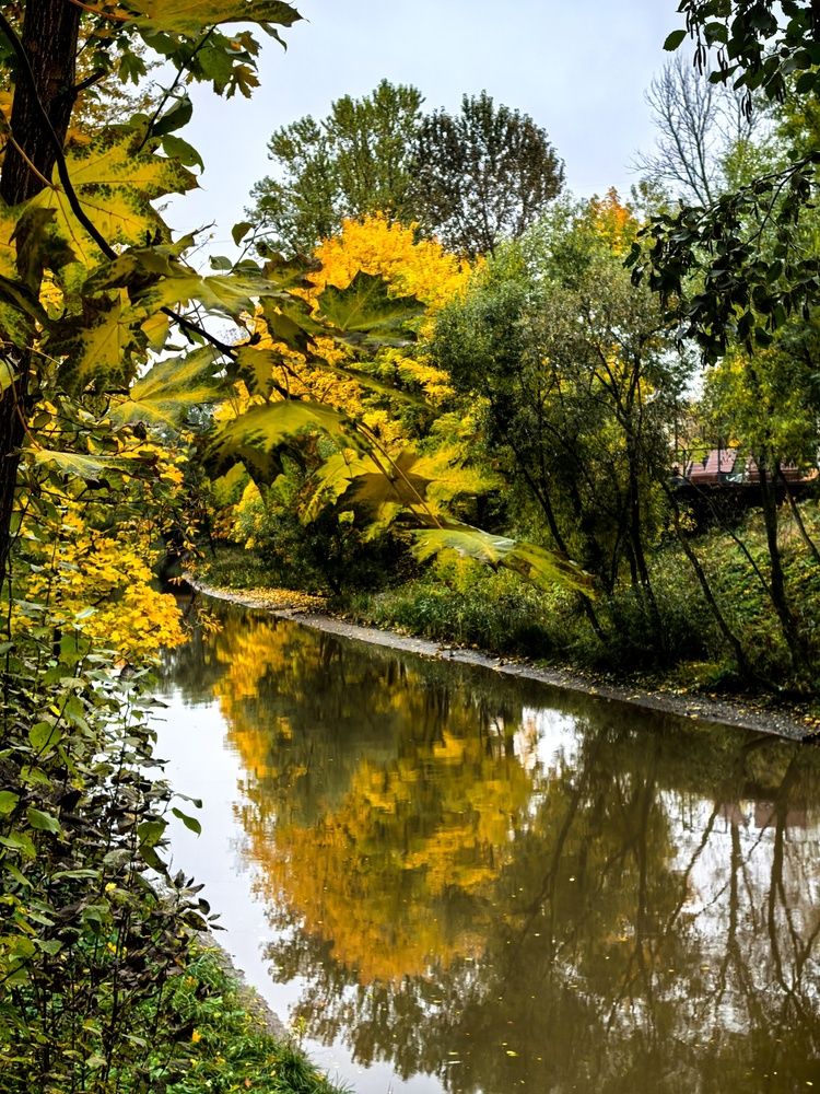 Photograph by Александр Максимов