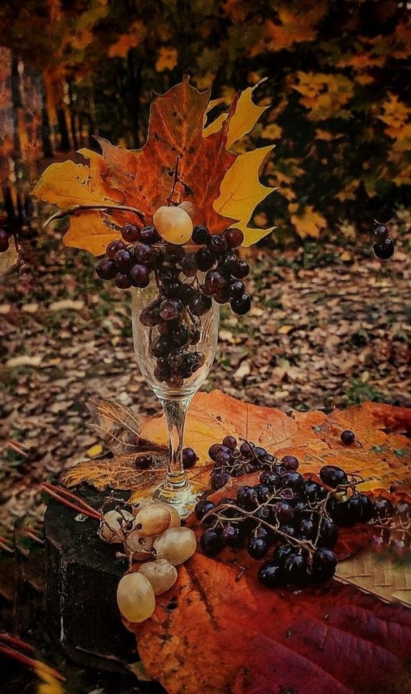 Photograph by Елена Бородулина