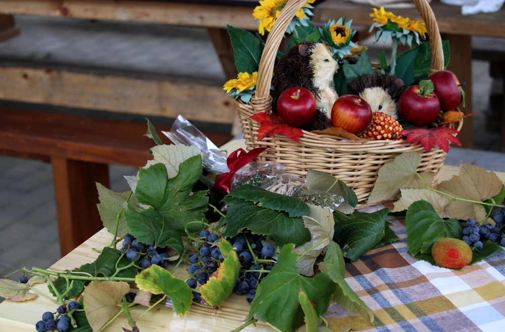 Autumn still life