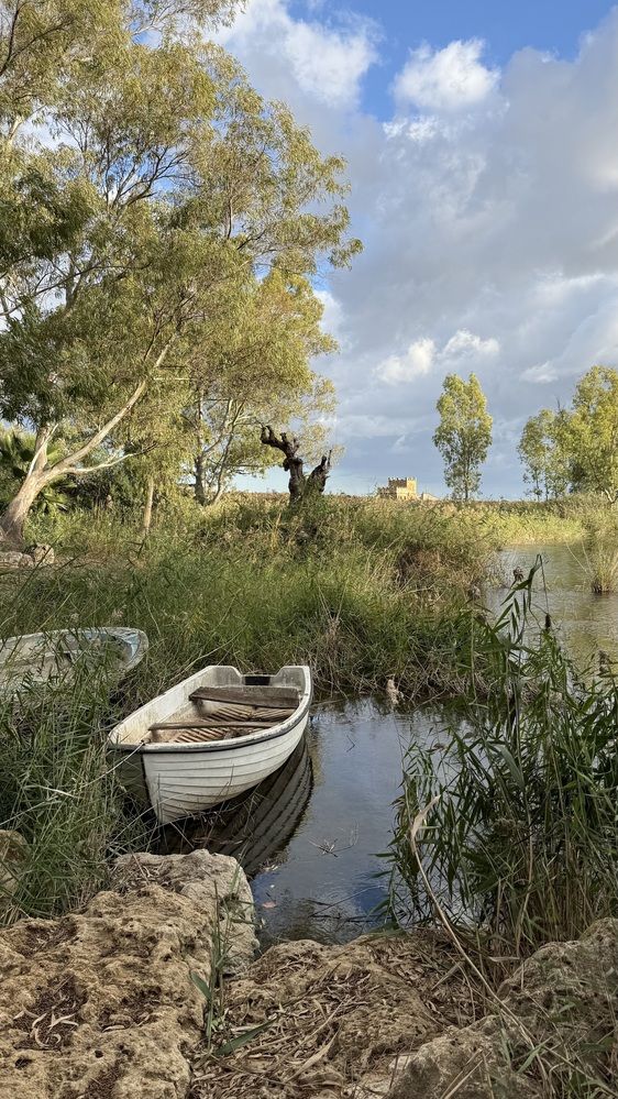 Photograph by Марина Измайлова