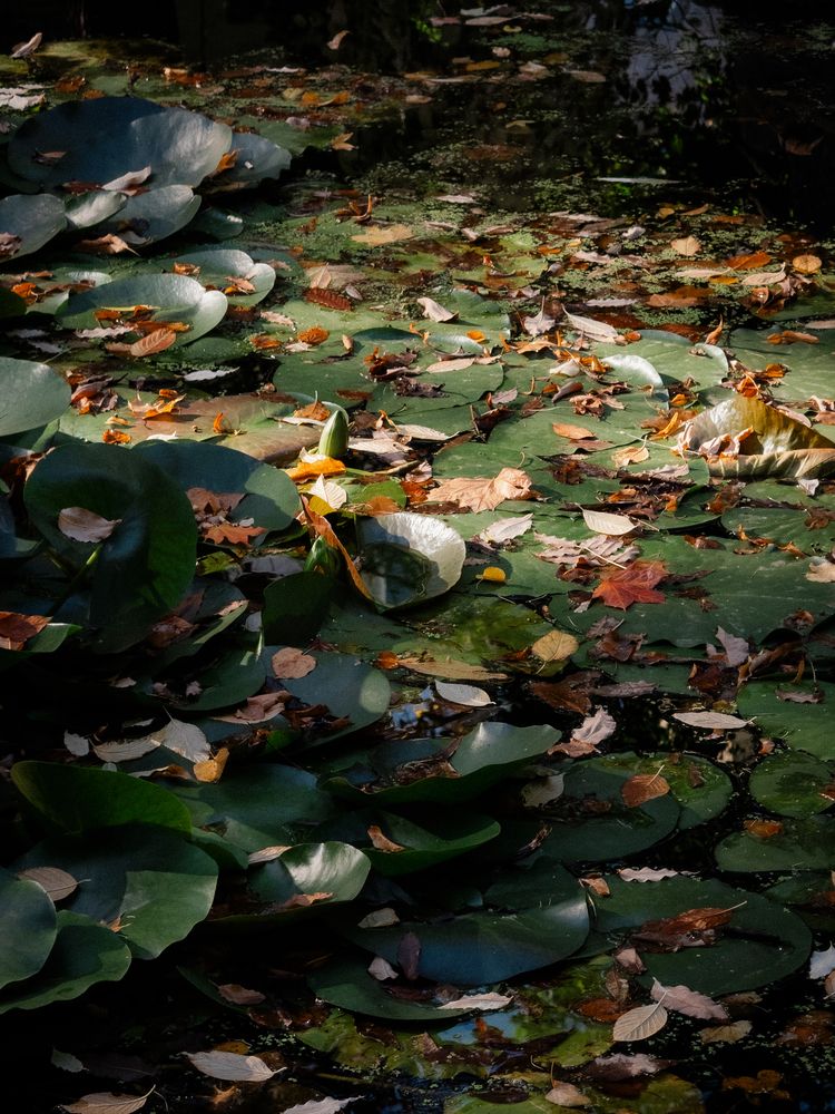 Photograph by Elizabeth B.