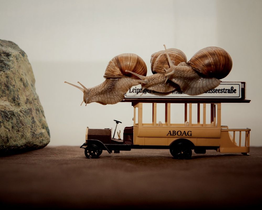 Фотография автора Galina Sa