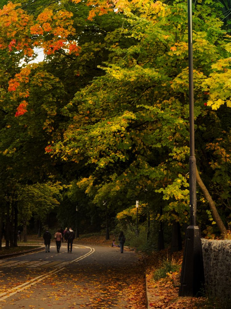 Photograph by Elizabeth B.