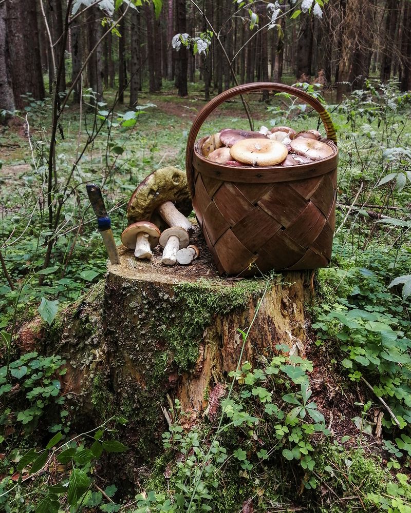 Фотография автора Борис Журавлёв