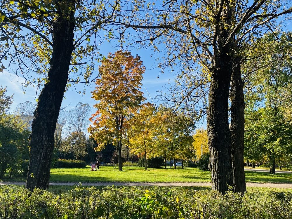 Фотография автора Анна Могилева