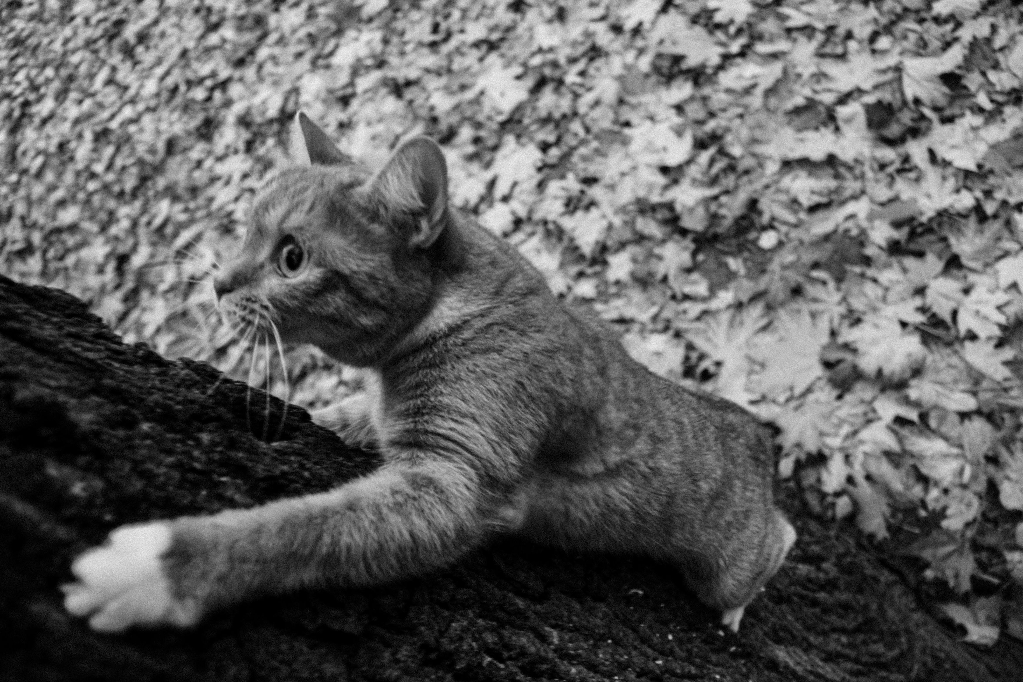 Photograph by Den Hendrx