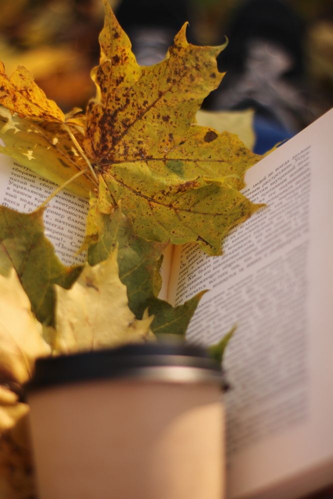 Photograph by Людмила Липаткина