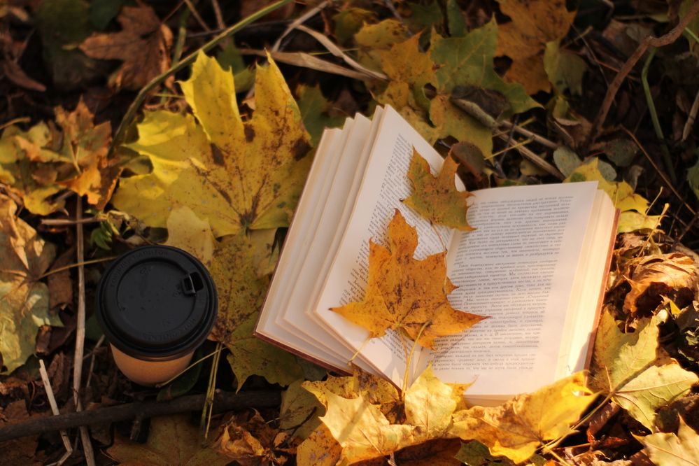 Photograph by Людмила Липаткина