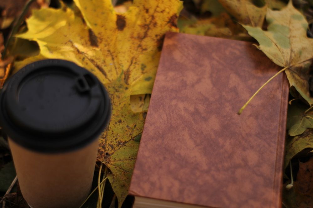 Photograph by Людмила Липаткина