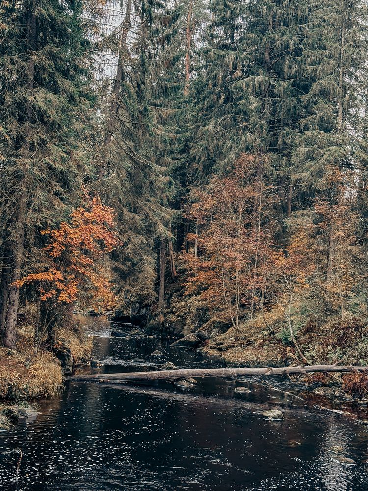 Photograph by Артём Бочкарёв