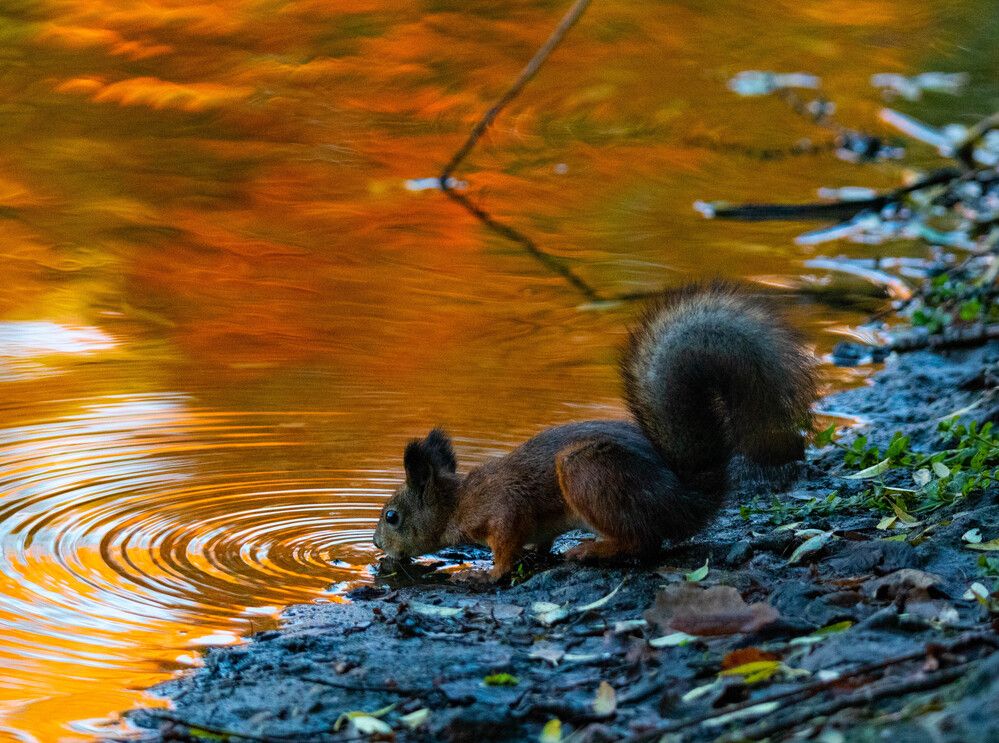 Photograph by Svetlana Porokhovnikova