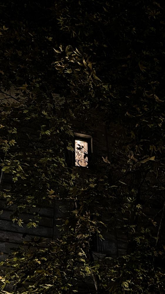 Photograph by Mehrad Mallaei