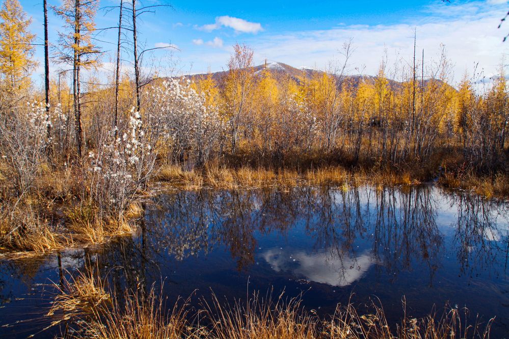 Photograph by Галина Искандарова