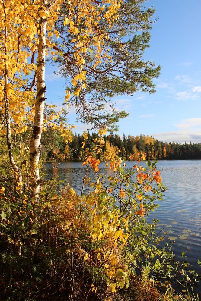 Фотография автора Ольга