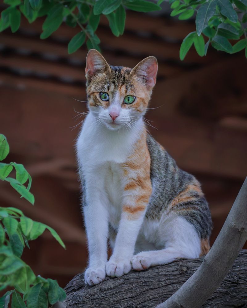 Photograph by Марина Ческис