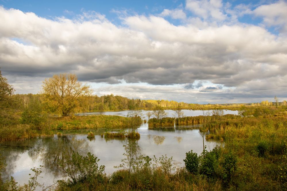 Photograph by Alex P