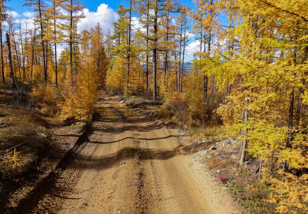 Photograph by Галина Искандарова