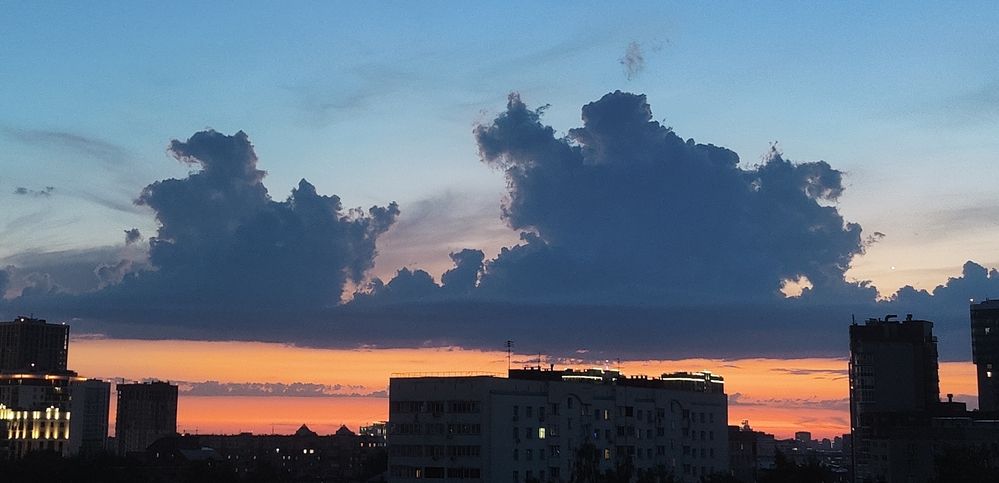 Photograph by Olena Chertous