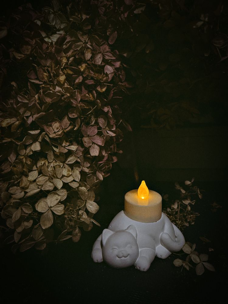 Photograph by Елена Чулюнина