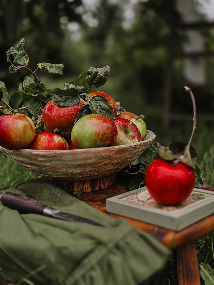 Photograph by Татьяна Гуцанович