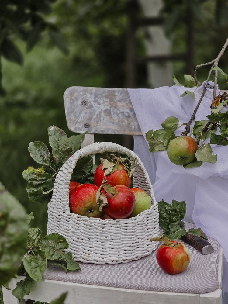 Photograph by Татьяна Гуцанович