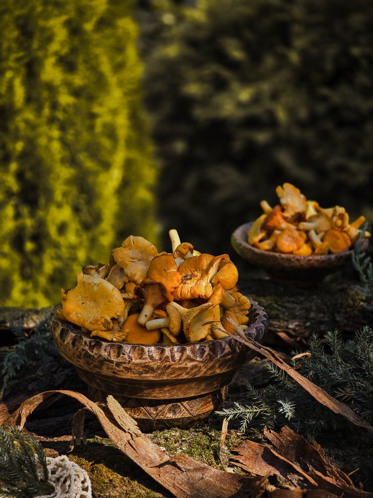 Photograph by Татьяна Гуцанович