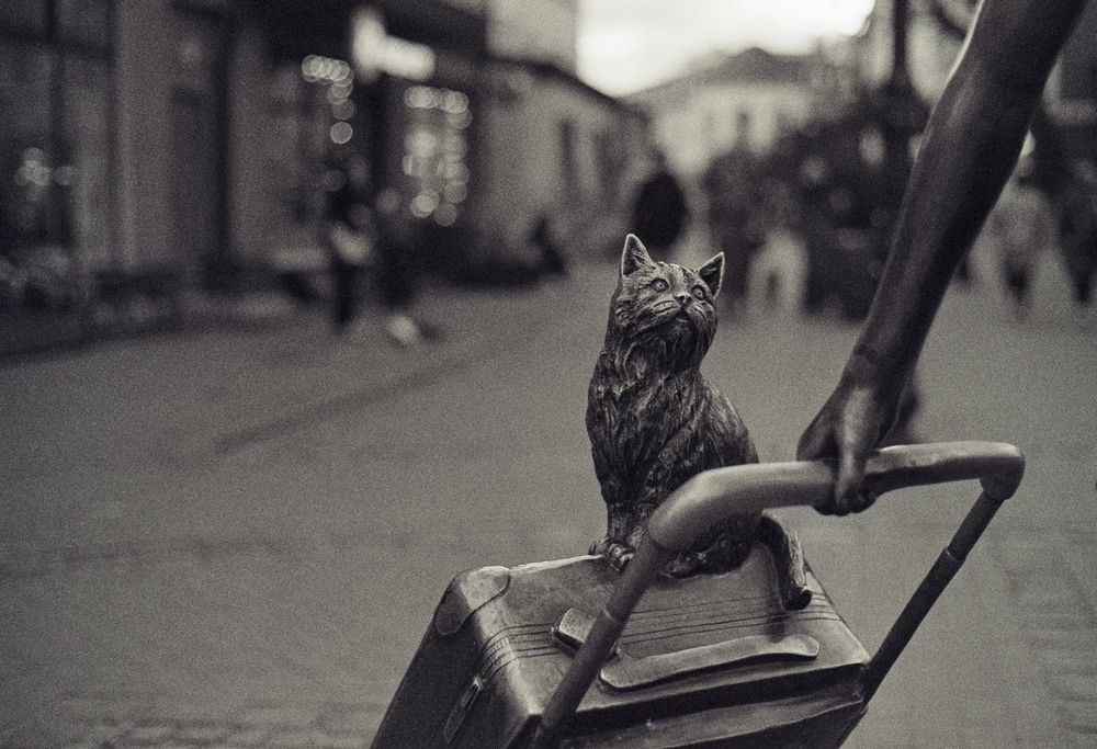 Photograph by Александр Капитоненко
