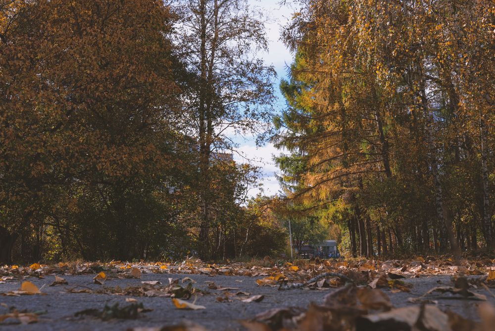 Photograph by Евгения Сенченко