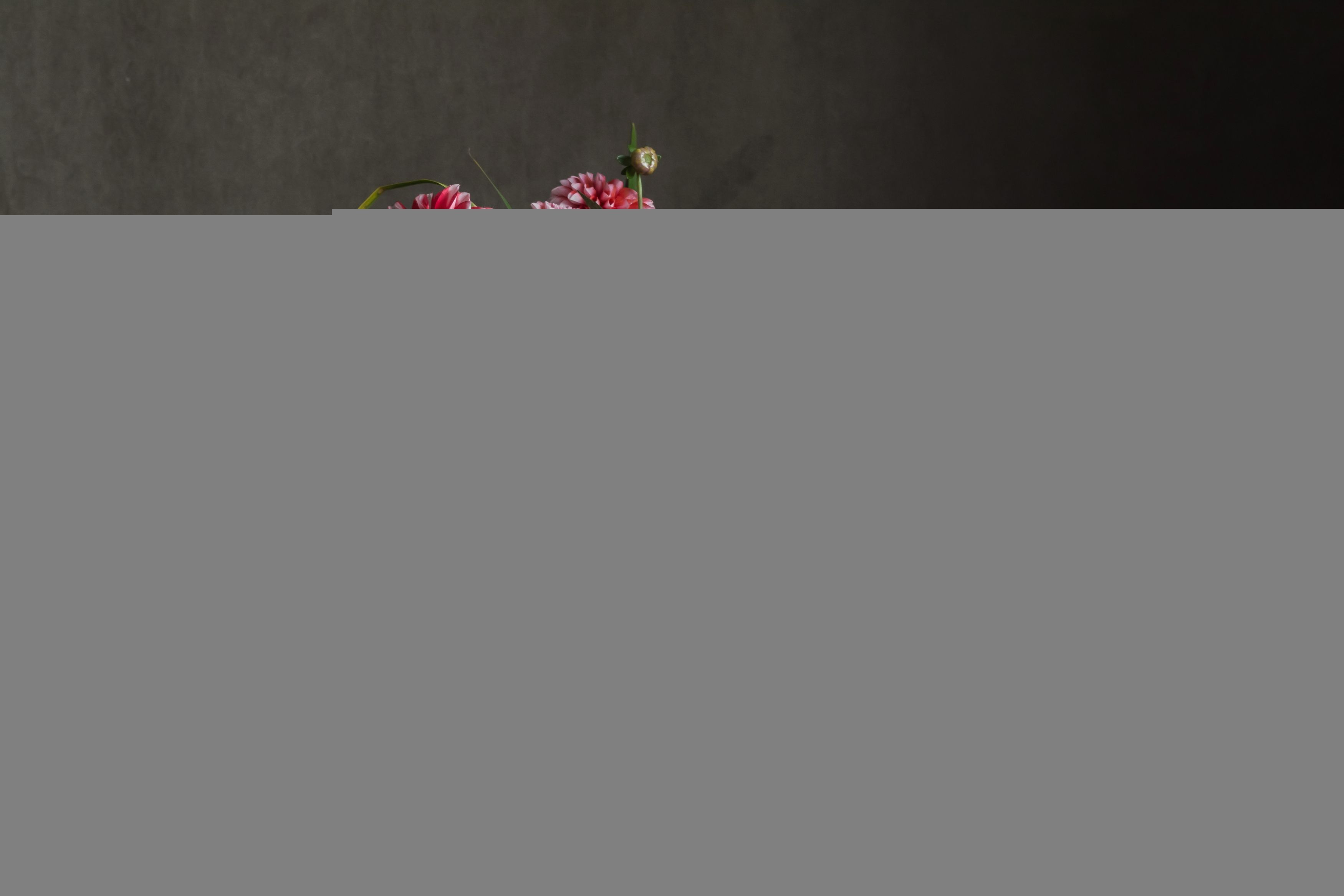 Photograph by Людмила Прибылова