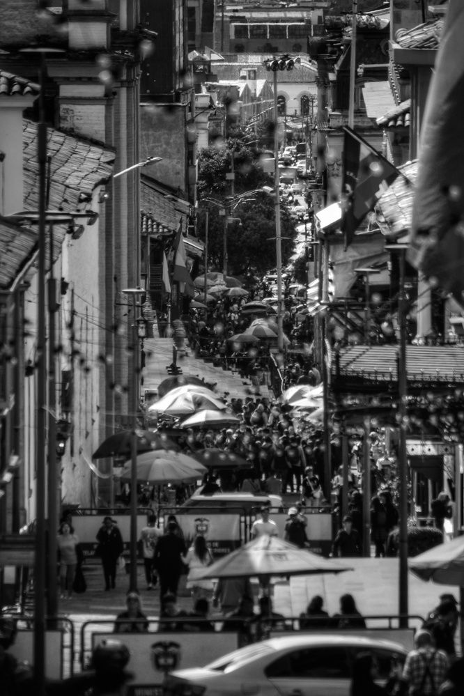 Фотография автора Andres Felipe Vargas Piedrahita
