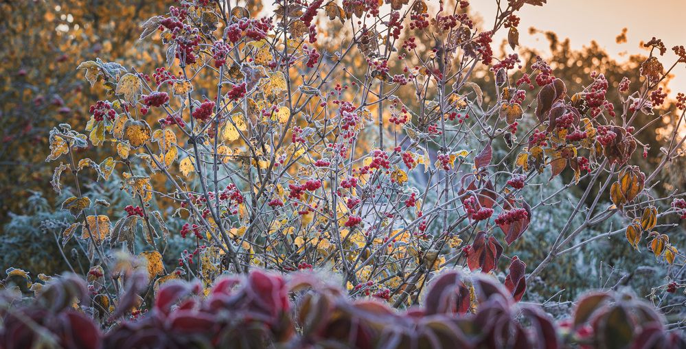 Photograph by Зеленько Дмитрий