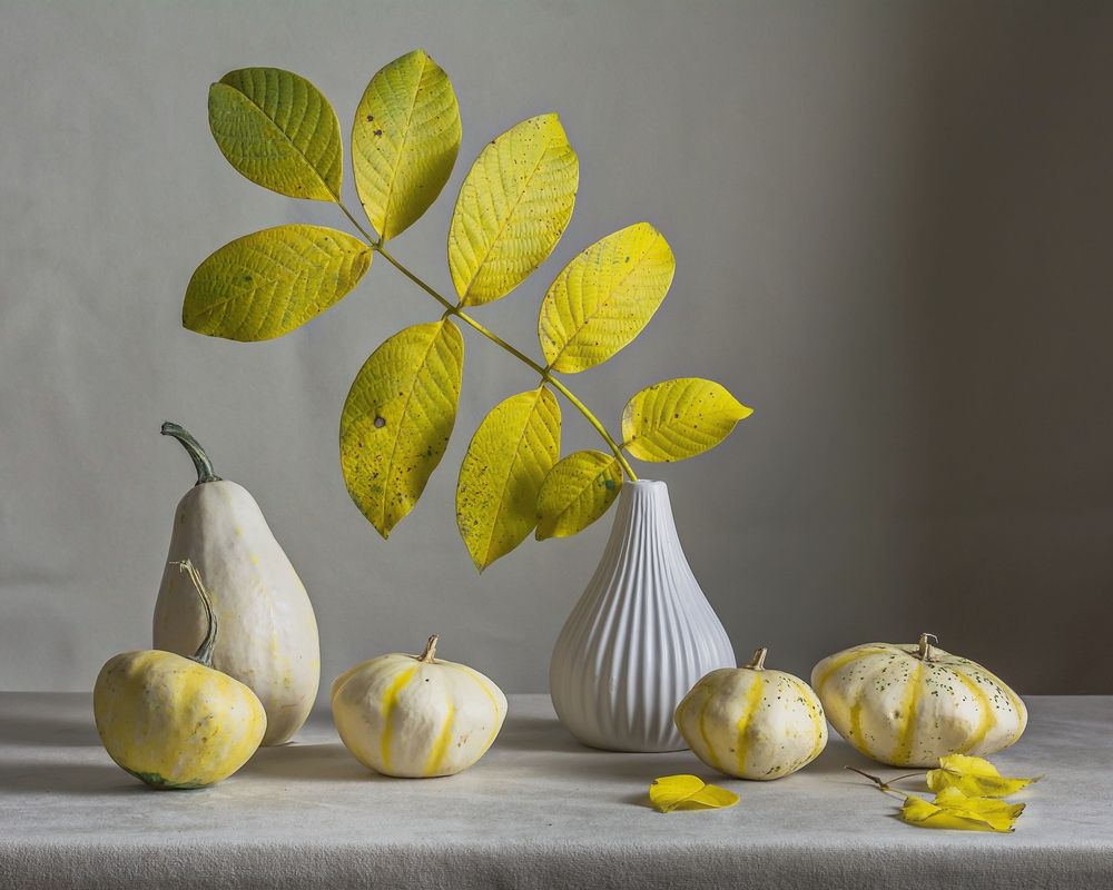 Photograph by Людмила Прибылова