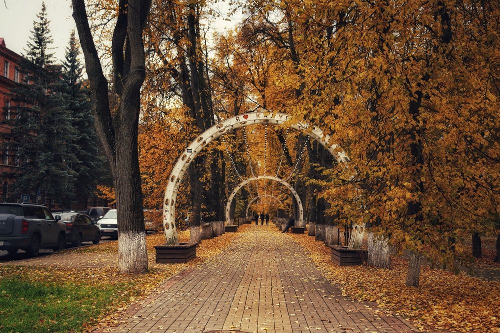 Фотография автора Роман Савин