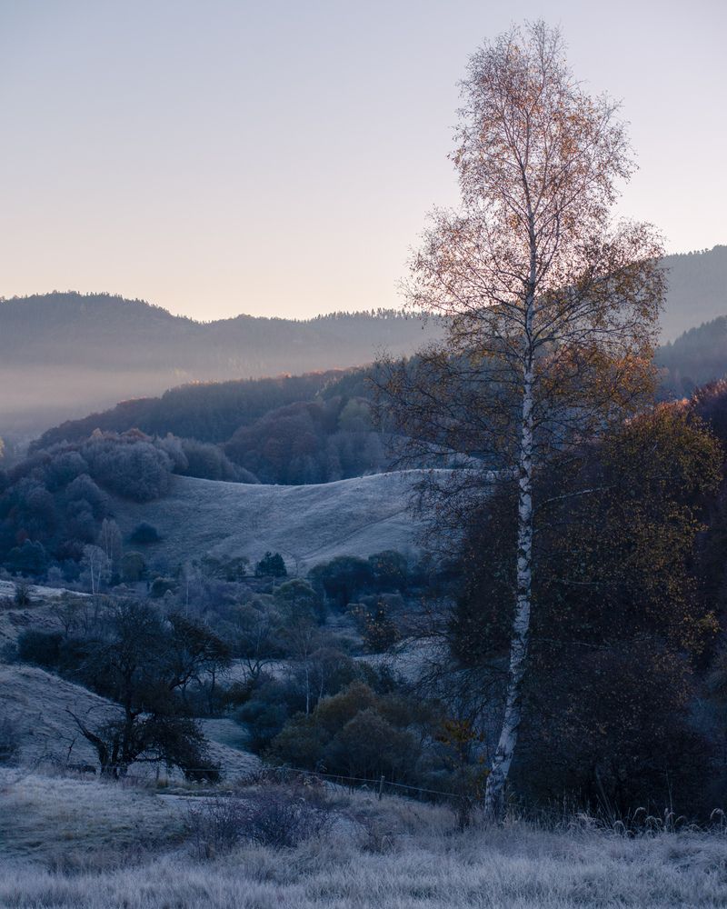 Фотография автора Lyuboslav Bochev