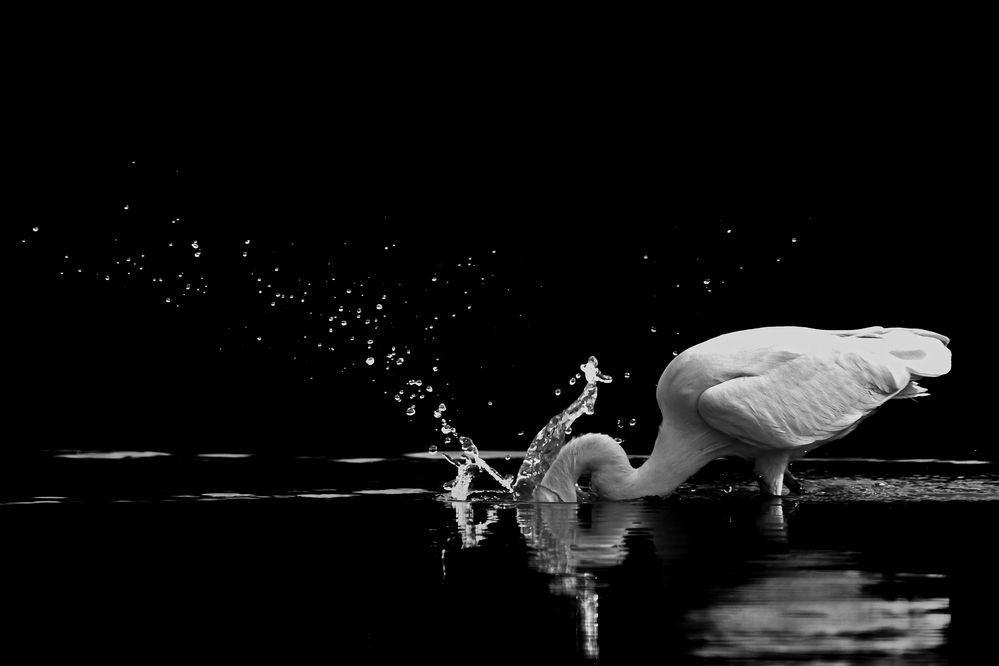 Photograph by Devang Soni