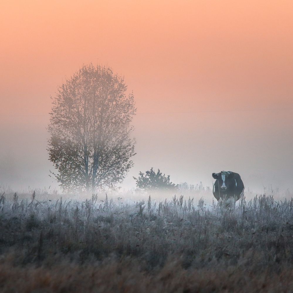 Photograph by Игорь Васильев