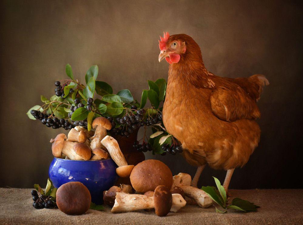 Photograph by Ирина Ефимова