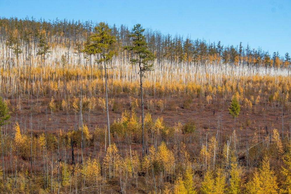 Photograph by Михаил Мархинин