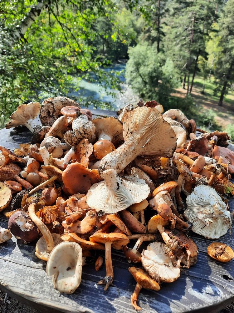 Photograph by Елена Валерьевна