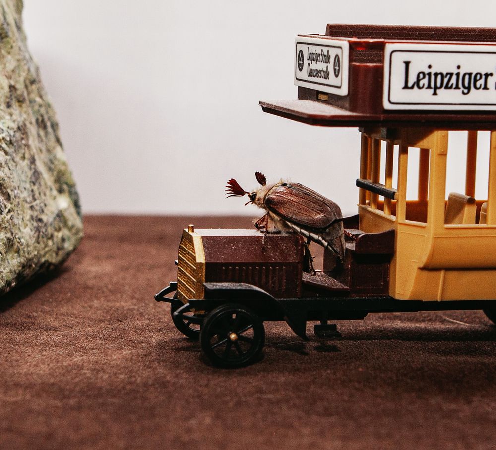 Фотография автора Galina Sa