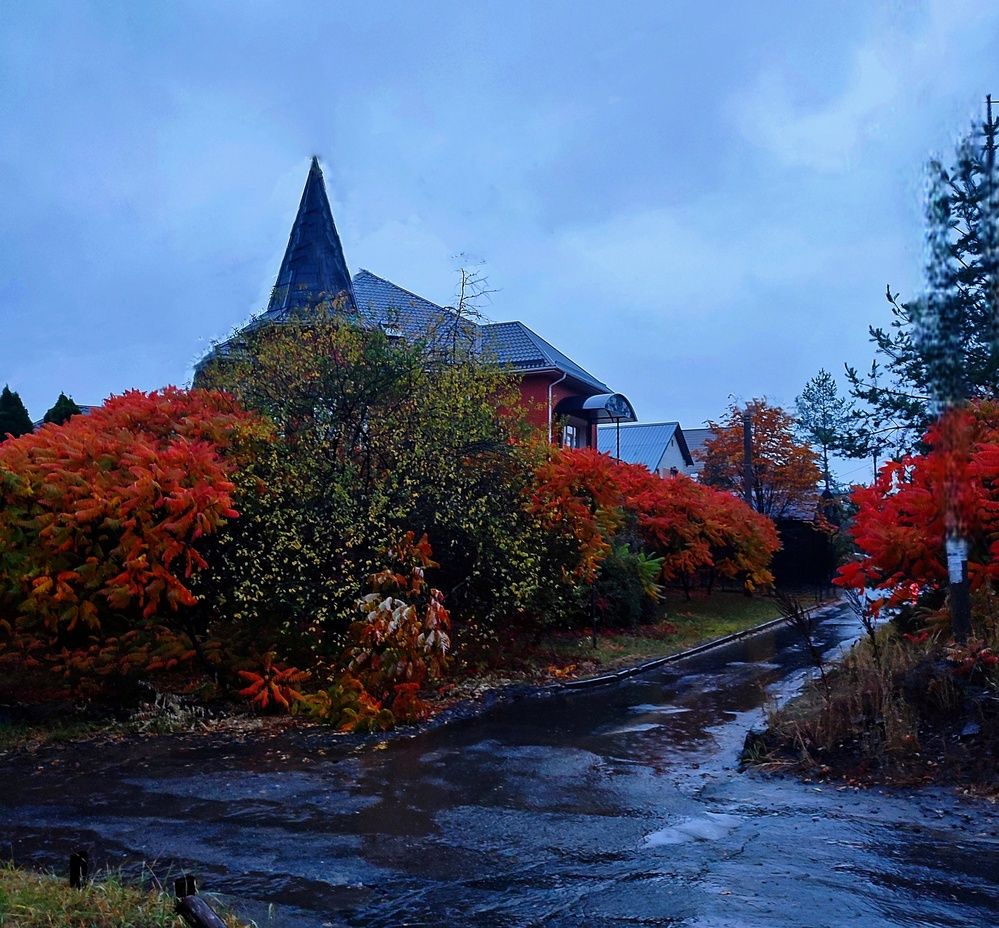 Photograph by Хоменчук Людмила