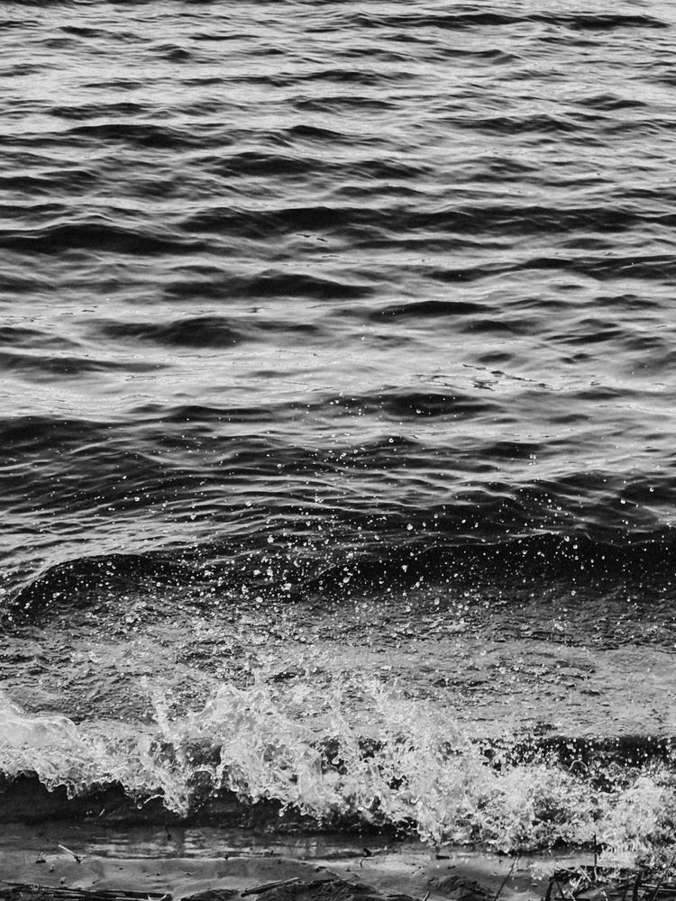 Photograph by ALISA NEZHINSKAYA