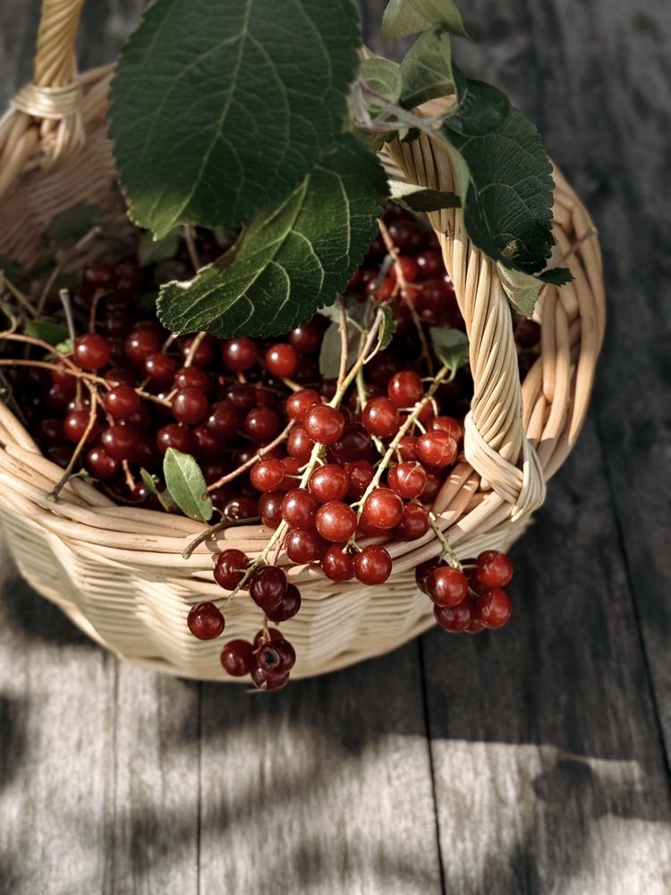 Photograph by Ольга Князева