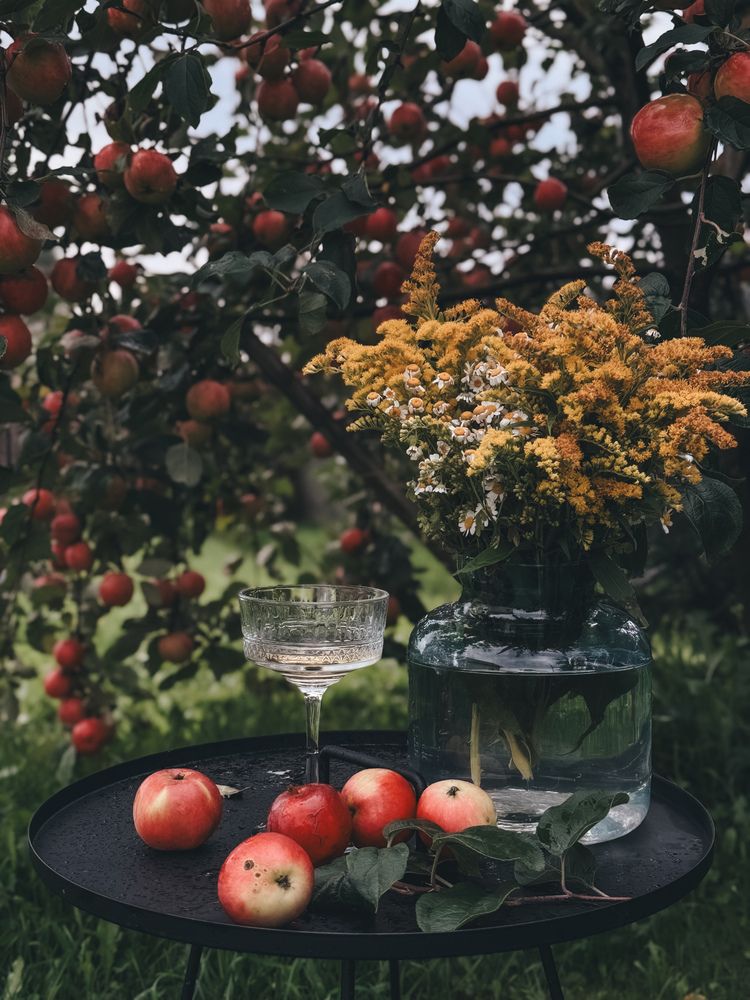 Photograph by Ольга Князева